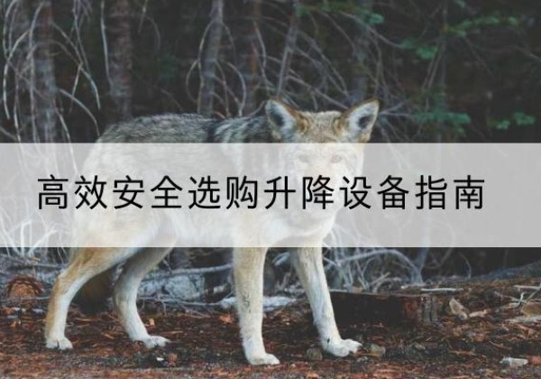 舒兰升降货梯厂家推荐-*安全选购升降设备指南