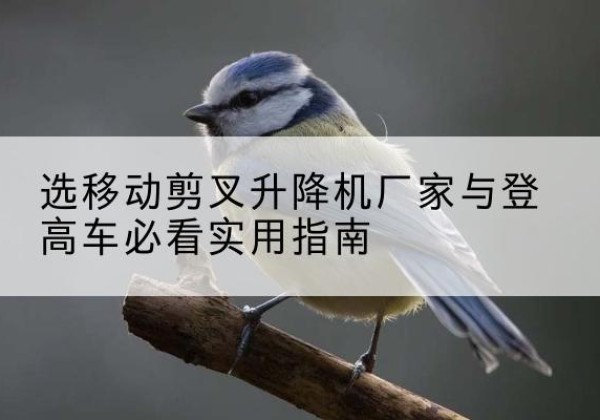 舒兰电动升降机厂家-选移动剪叉升降机厂家与登高车必看实用指南